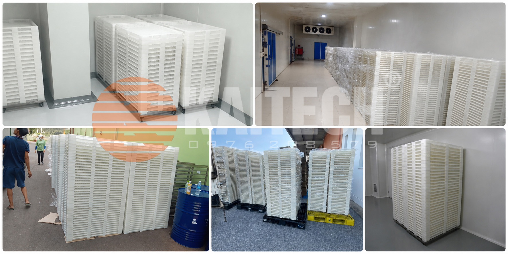 sản xuất khay sấy nhựa giá rẻ